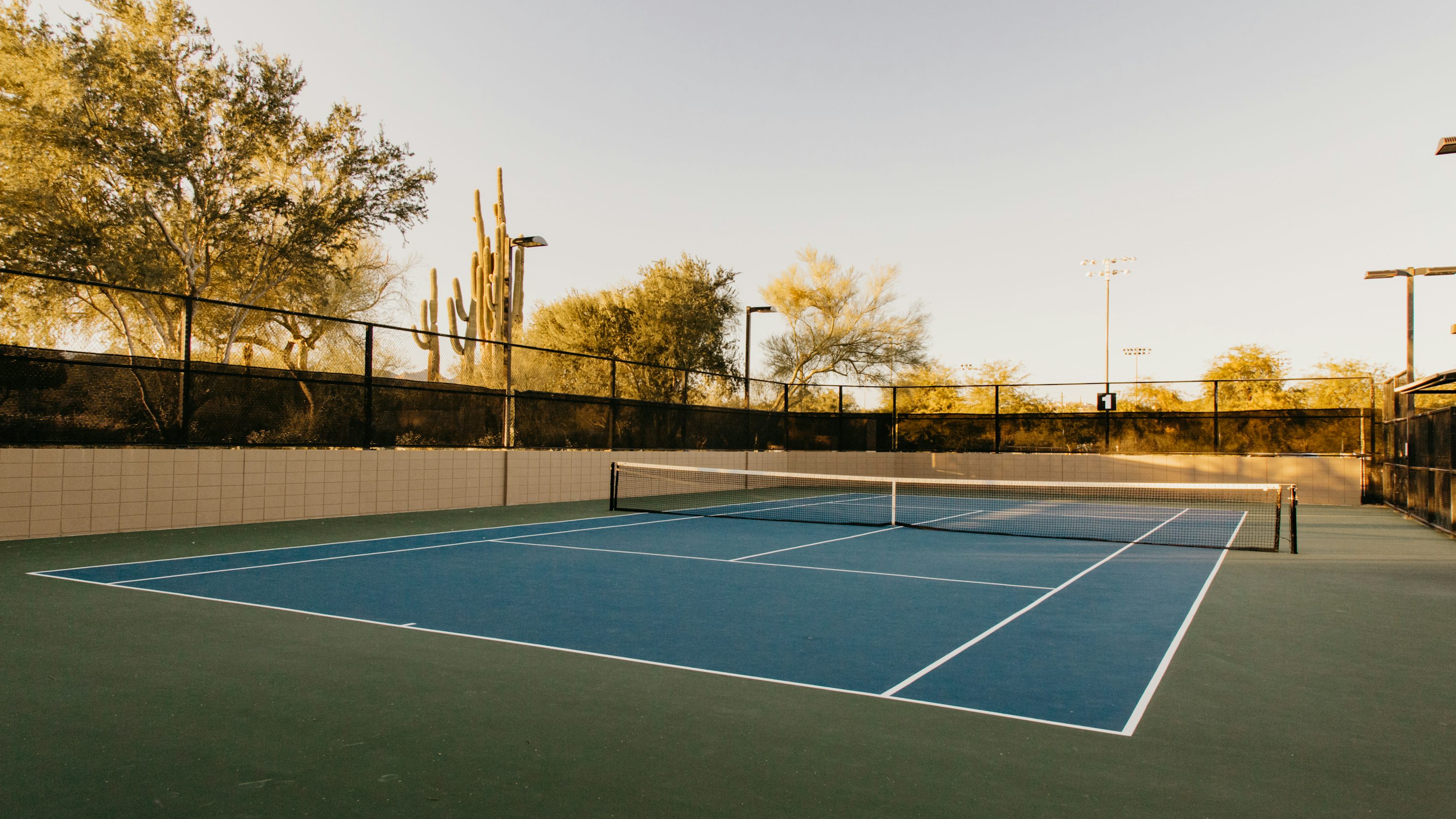 Premium Tennis Court