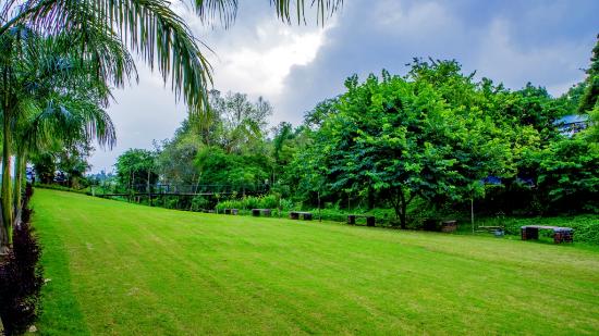 Green Garden